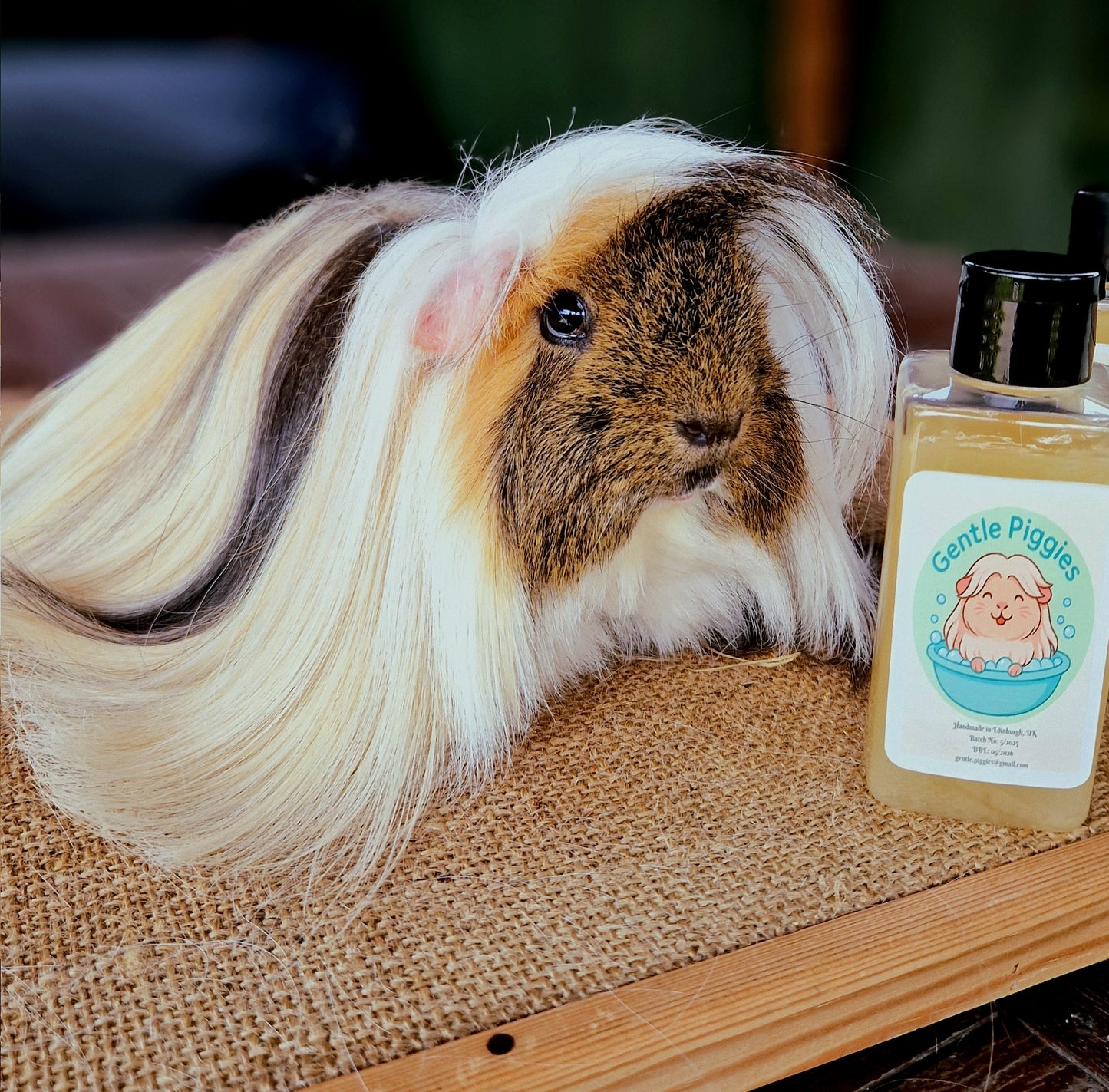 Guinea Pig & Small Animal Shampoo – Gentle Aloe Vera & Jojoba Formula, 150ml